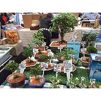 Neighbourhood Markets image